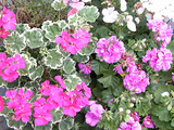 20100609