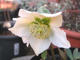 218b9898.jpg