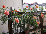 69c287f5.jpg