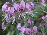 86f63c24.JPG