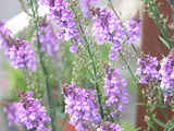 d22ef525.jpg