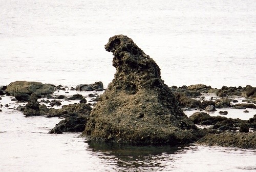 Godzilla-iwa