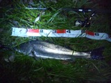 203183e2.jpg