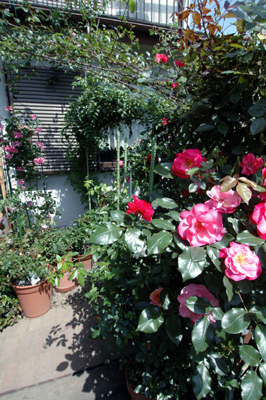 1f54ab55.jpg
