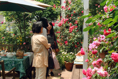 DSC00245