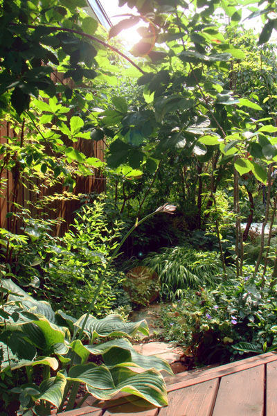 DSC00029