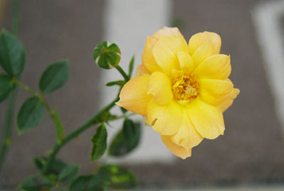 5432ab03.jpg
