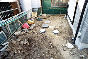 6425b334.jpg