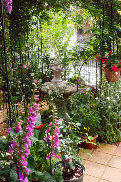DSC00218