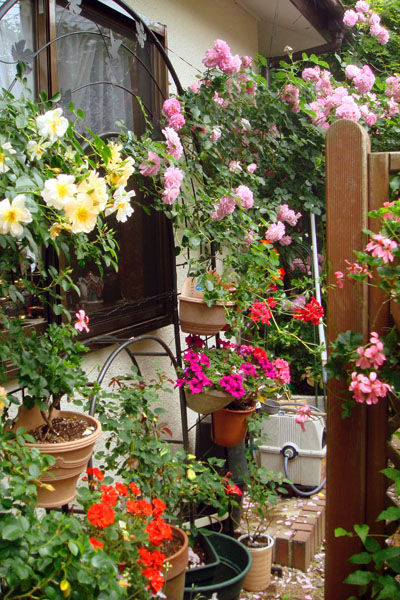 DSC00221