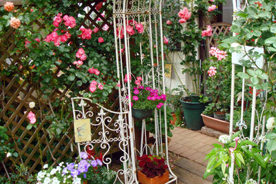 DSC00220