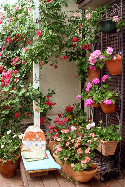 DSC00224
