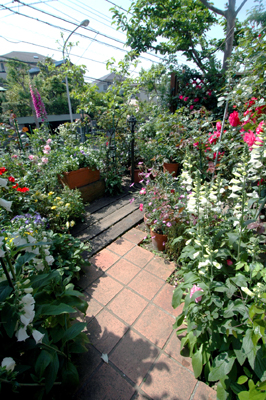 d44388a6.jpg