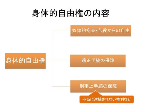 身体的自由権の内容
