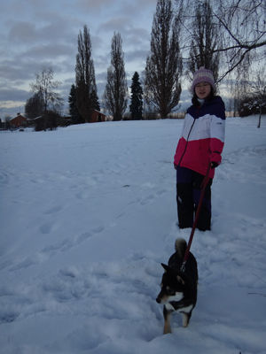 140120promenad1