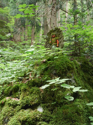 140709skog3