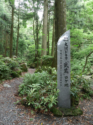140709skog1