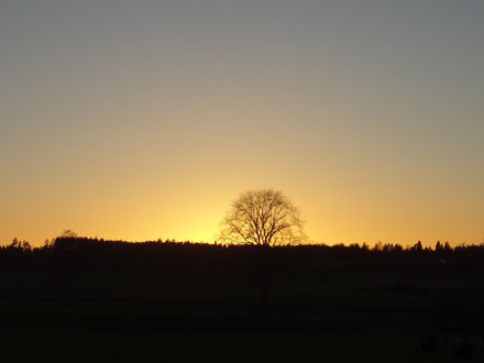 131113promenad7