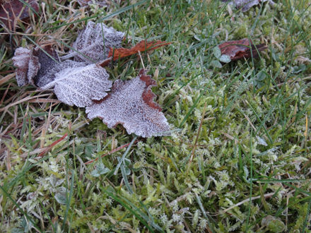 131113promenad6