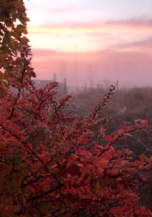 181013morgon4
