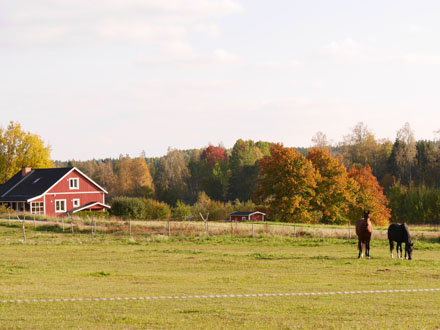 141001promenad3
