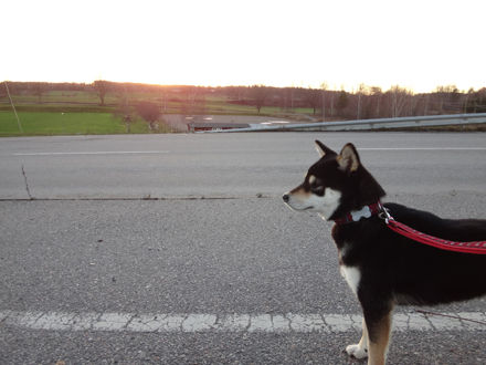 131113promenad1