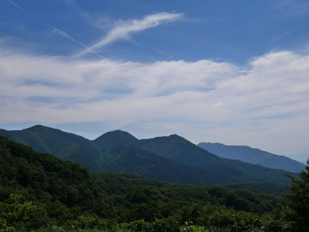 140712berg3