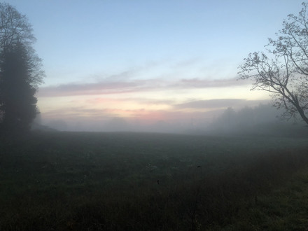 181013morgon2