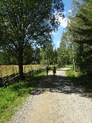 120804sagostigen1