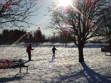 120212skidor