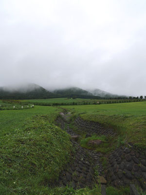 140707kohagen2