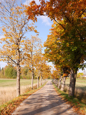 141001promenad5