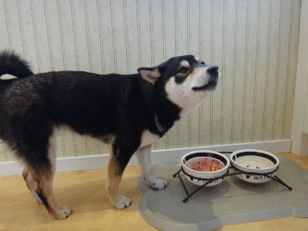 130408Tsuki2