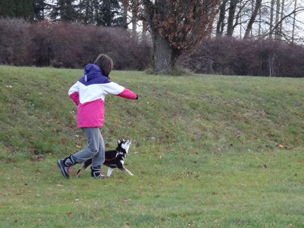 131123promenad6