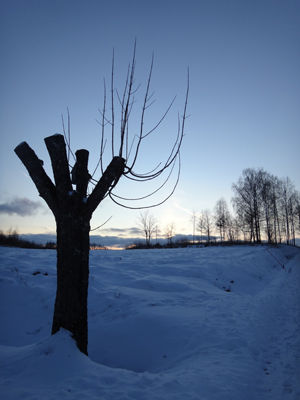 140120promenad7