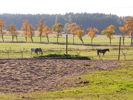 141001promenad7