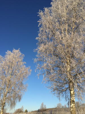 181128kallt3