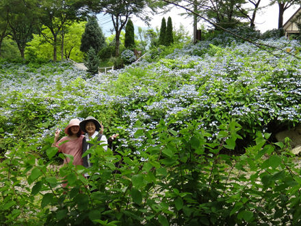 130708garden9