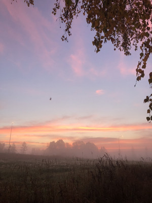 181013morgon3