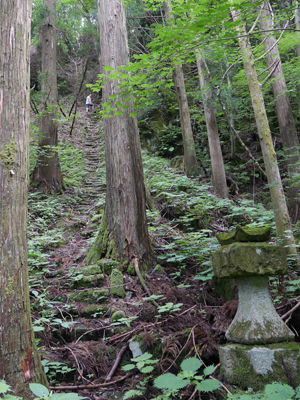 140709skog4