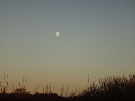 131113promenad3