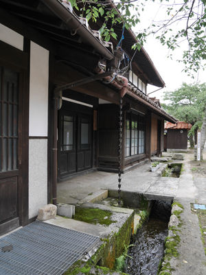 140708Shinjyo2