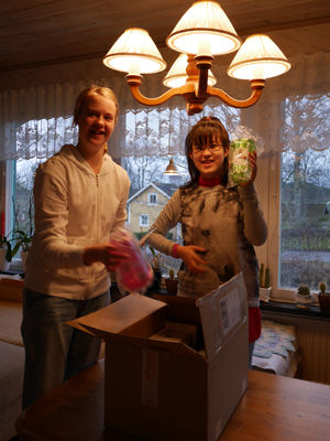 141122jultidning3