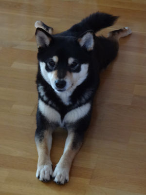 140116Tsuki