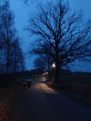 140102promenad3