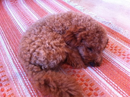 120709Leon1
