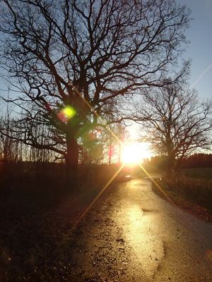 131117promenad1