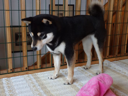 140110Tsuki