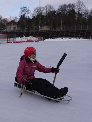 160222kalkhockey3