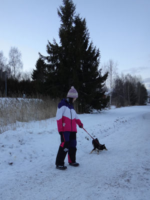 140120promenad6